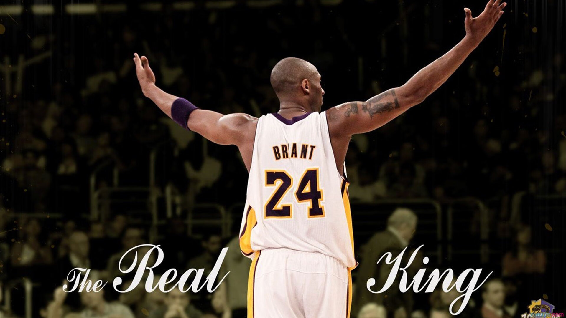 太阳对阵活塞，当布克的得分艺术让防守沦为背景板